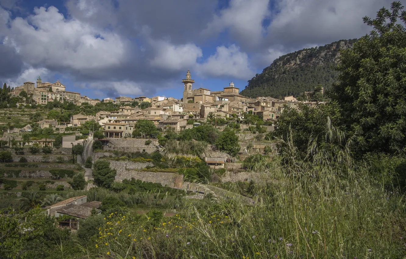 Фото обои пейзаж, здания, панорама, Испания, Spain, Mallorca, Мальорка, Вальдемоса