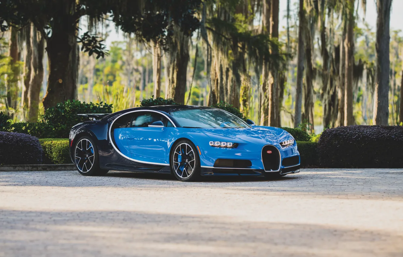 Фото обои Bugatti, Chiron, Bugatti Chiron