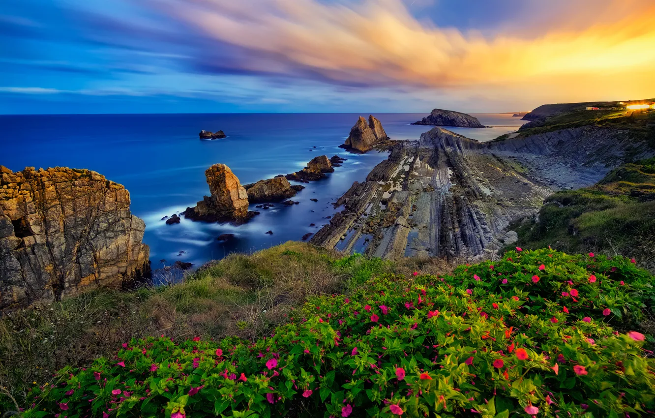 Фото обои море, закат, цветы, скалы, побережье, Испания, Spain, Costa Quebrada
