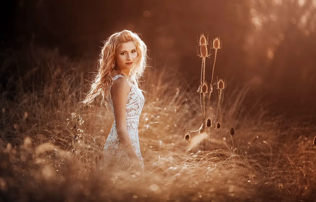 Фото обои девушка, свет, природа