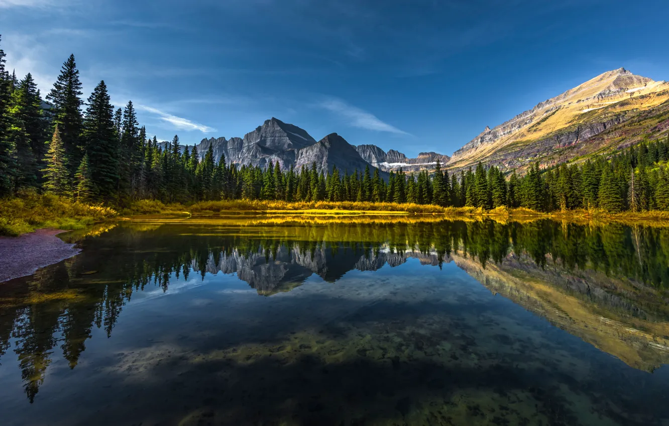 Фото обои лес, горы, озеро, отражение, Монтана, Glacier National Park, Скалистые горы, Montana