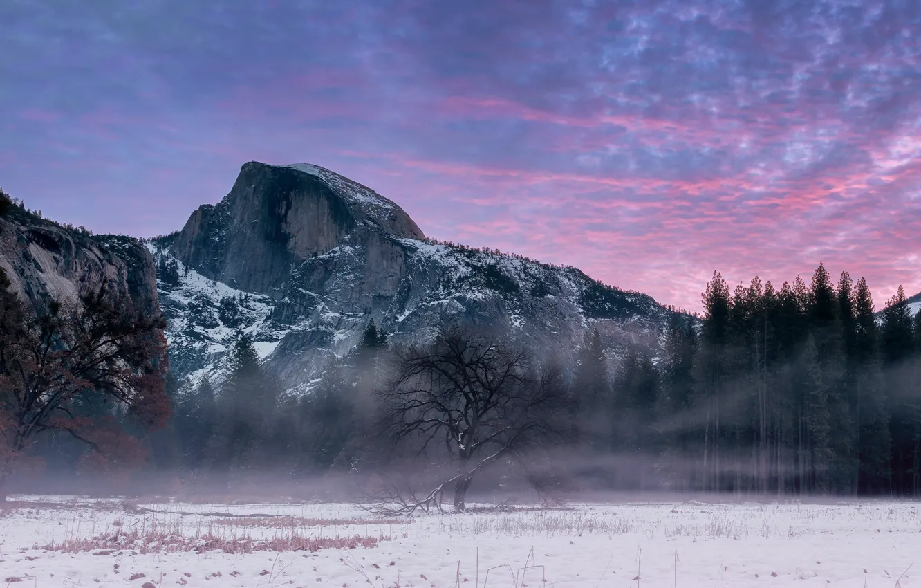 Фото обои Yosemite, ПРИРОДА, ЗИМА, ТУМАН