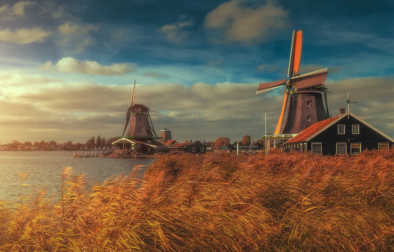Фото обои река, дома, камыш, мельницы, Нидерланды, Netherlands, Zaanse Schans, Зансе-Сханс