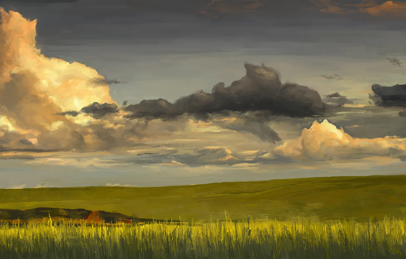 Фото обои зелень, поле, трава, тучи, природа, горизонт, арт