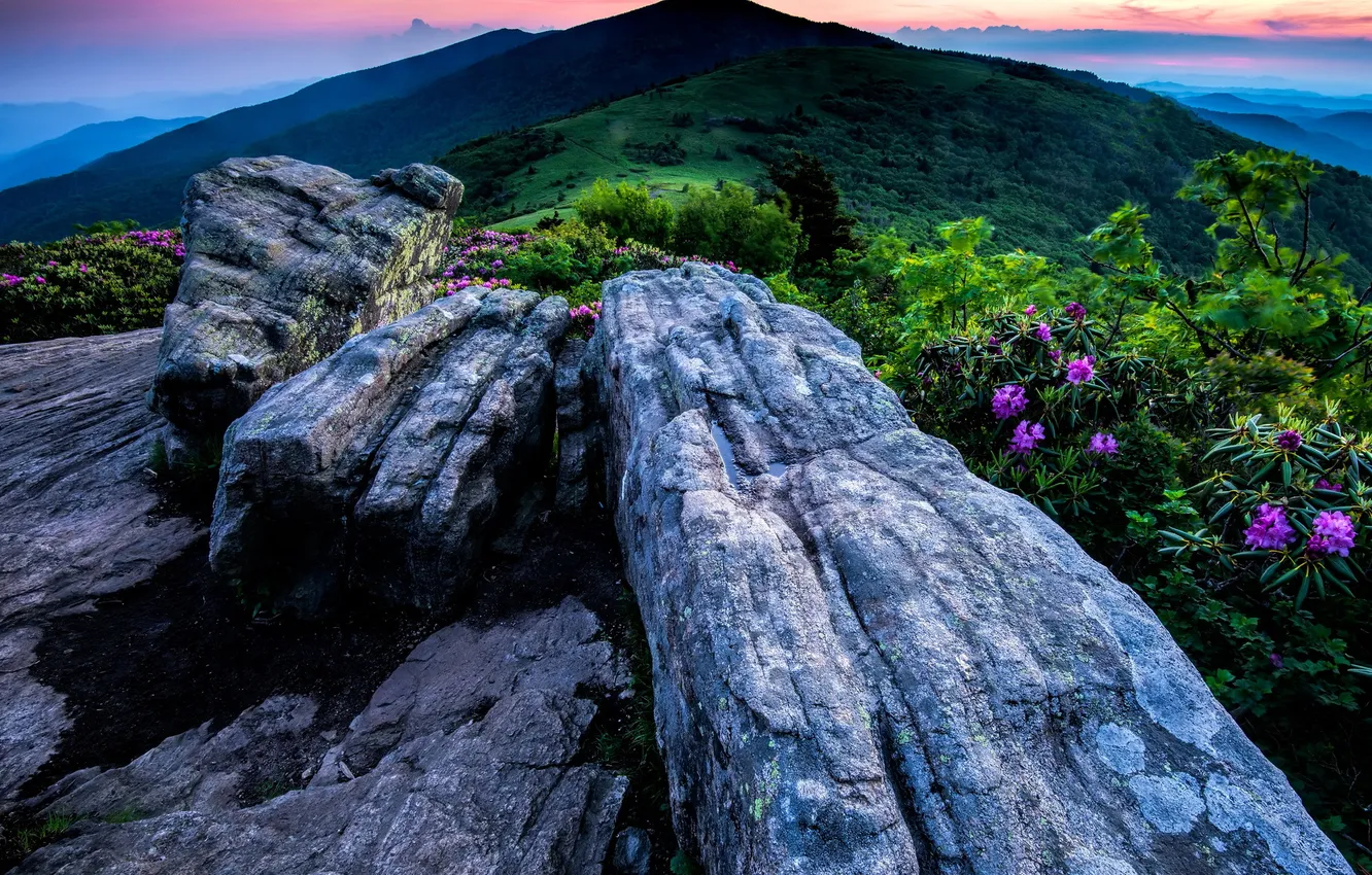 Фото обои Highlands, North Carolina, Tennessee, Roan Mountain