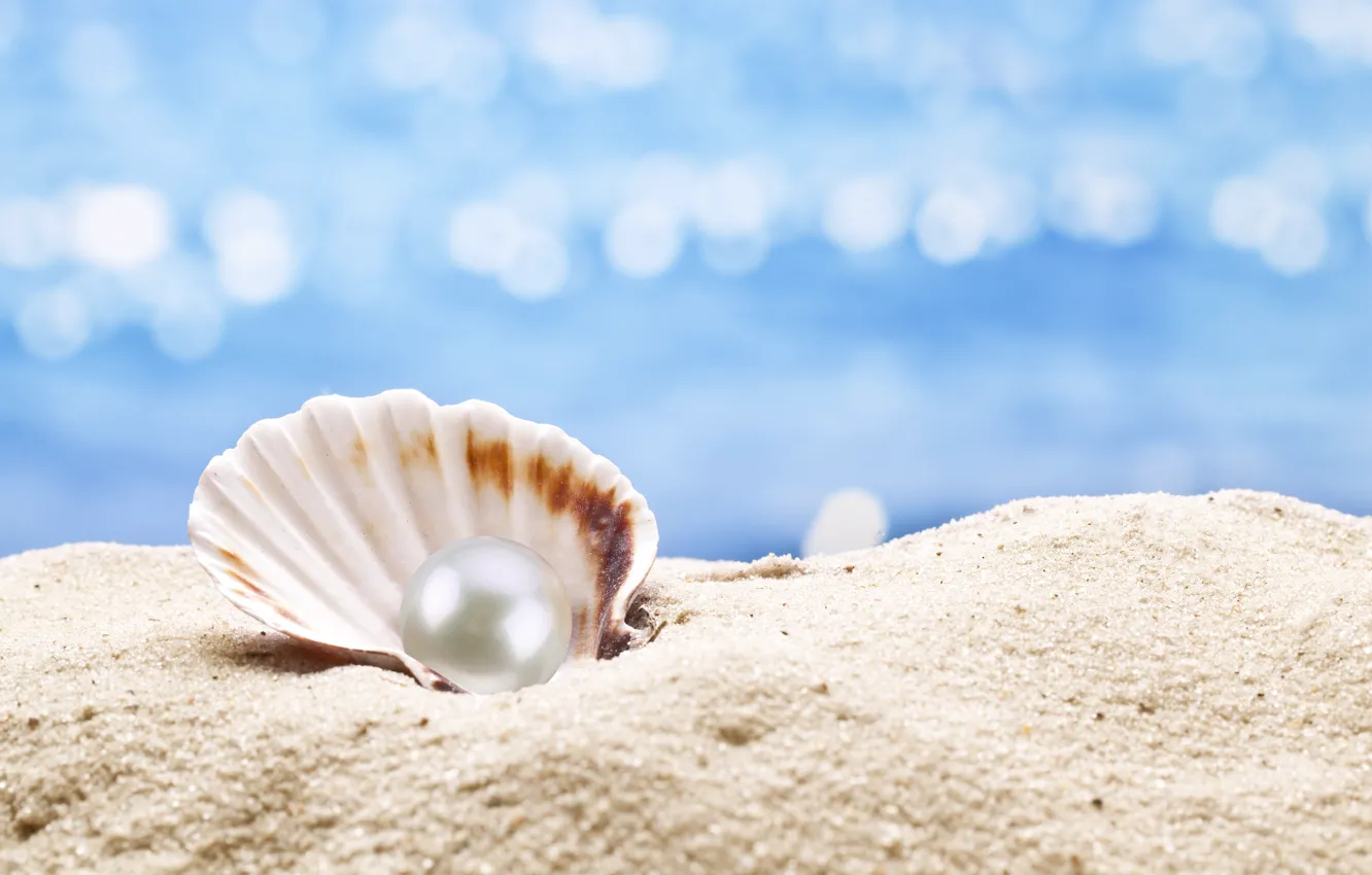 Фото обои ракушка, жемчуг, sunshine, beach, sea, sand, seashell