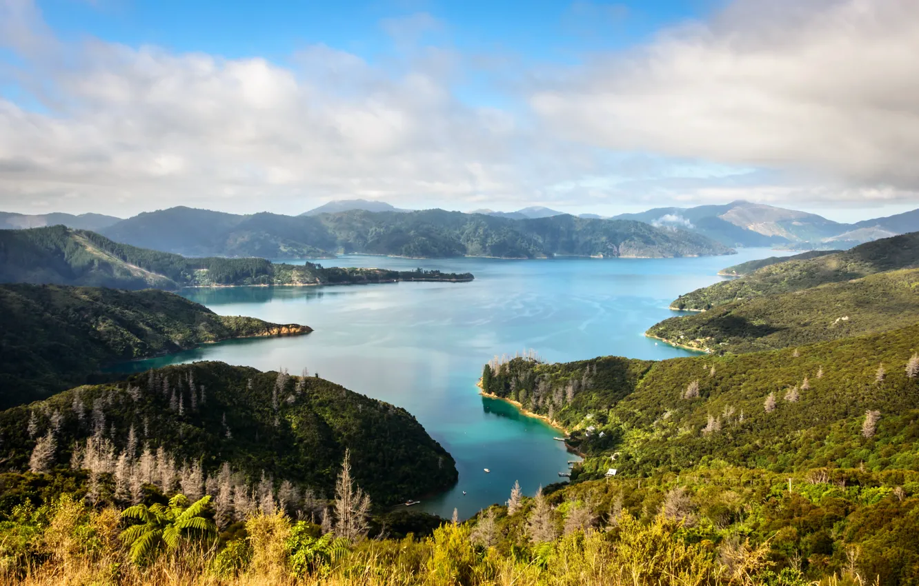 Фото обои море, острова, Новая Зеландия, Marlborough