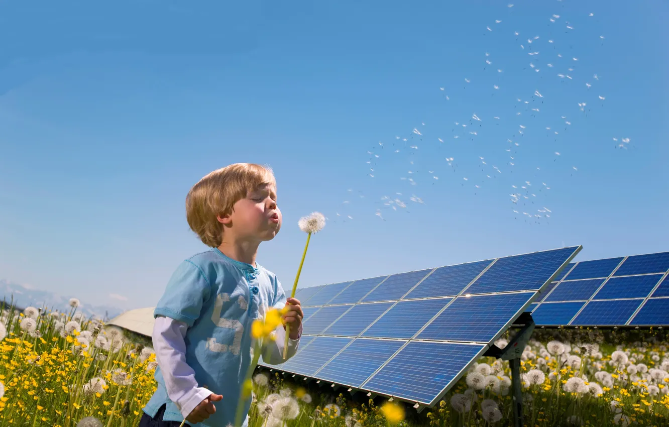 Фото обои Одуванчик, Мальчик, Мичиган, Michigan, Ford Motor Company, Renewable energy, Возобновляемые источники энергии, Солнечная энергия