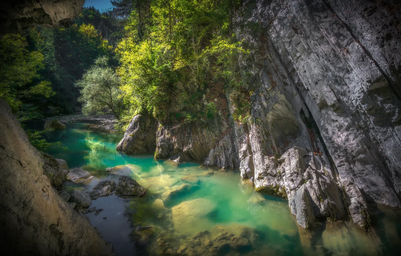 Фото обои вода, деревья, пейзаж, природа, скалы, Швейцария, ущелье, Gorges De La Jogne