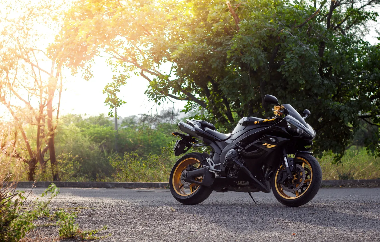 Фото обои солнце, деревья, мотоцикл, чёрная, black, yamaha, bike, ямаха