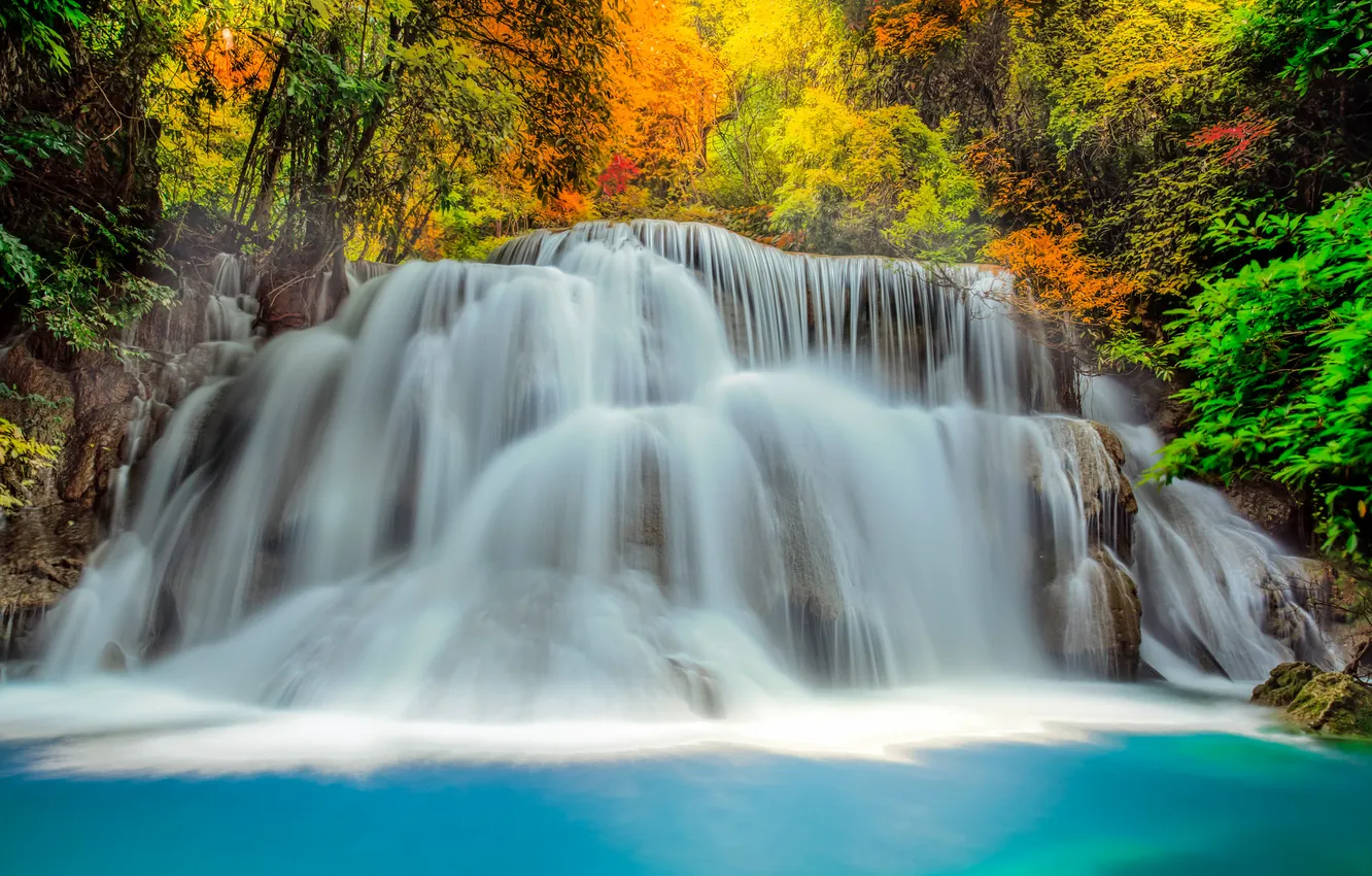 Фото обои осень, лес, деревья, река, камни, цвет, водопад, обработка