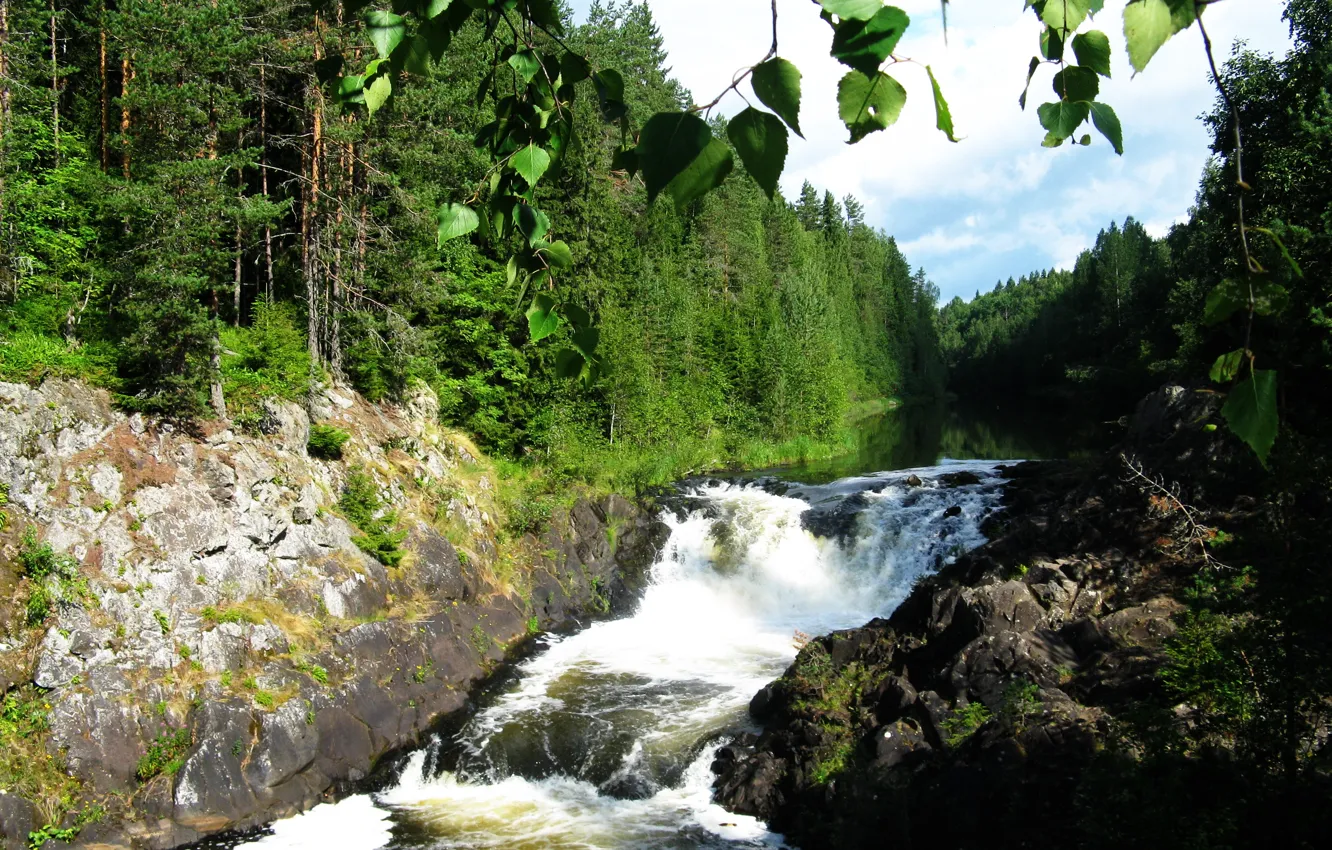 Фото обои вода, водопад, зеленые, Карелия, Кивач