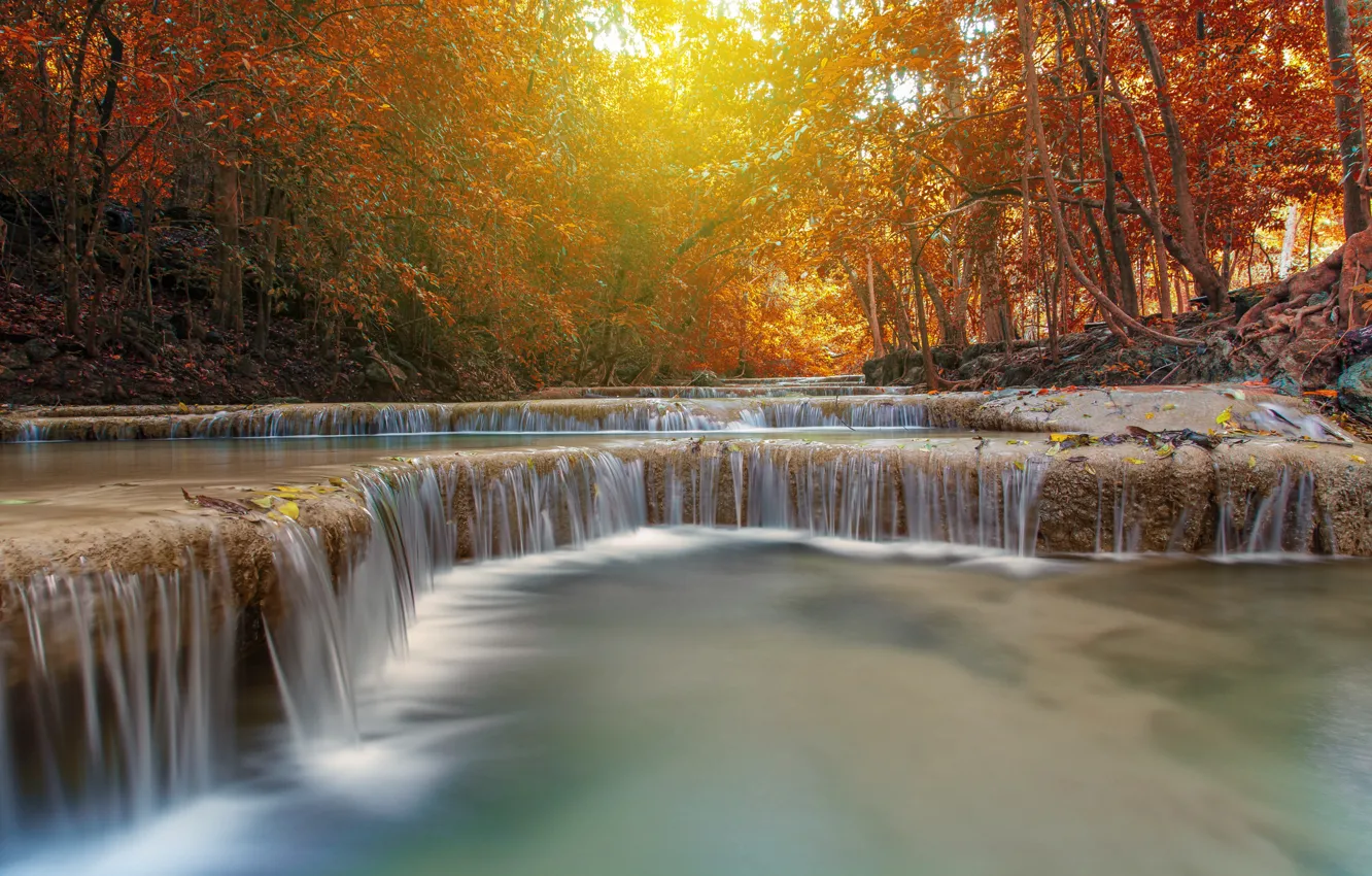 Фото обои осень, лес, листья, пейзаж, река, скалы, водопад, forest