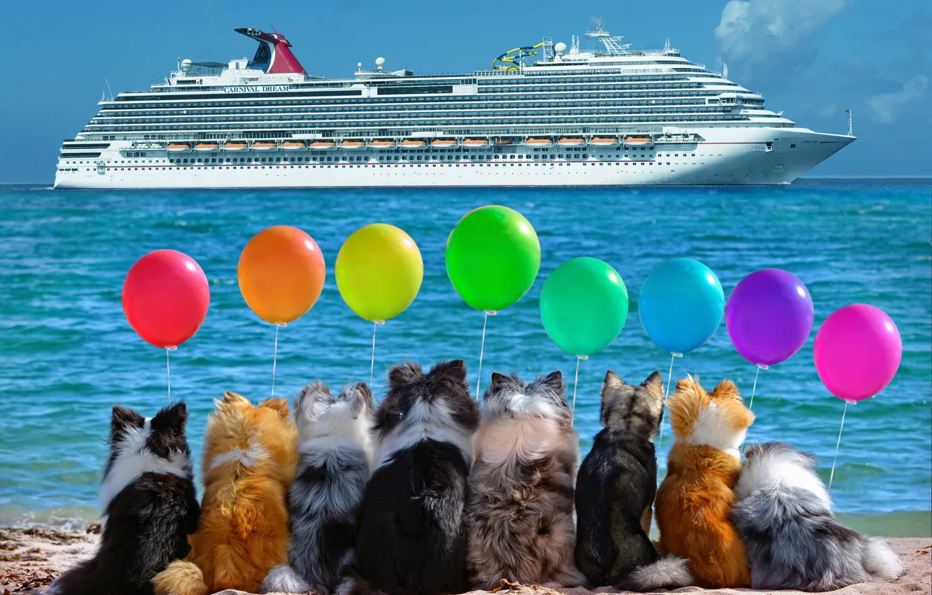 Фото обои море, собаки, шары, встреча, лайнер, ремейк, шутка