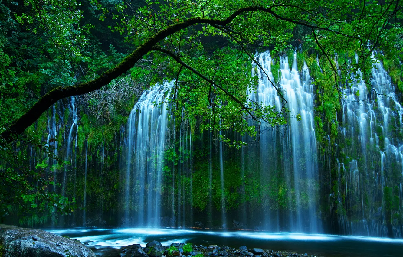 Фото обои зелень, деревья, природа, водопад, США, Shasta Retreat, Sacramento River, Mossbrae Falls