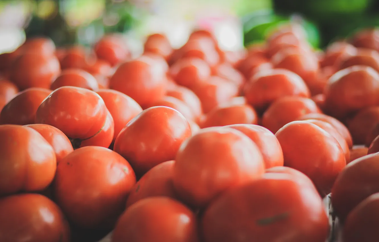 Фото обои красные, помидоры, томаты