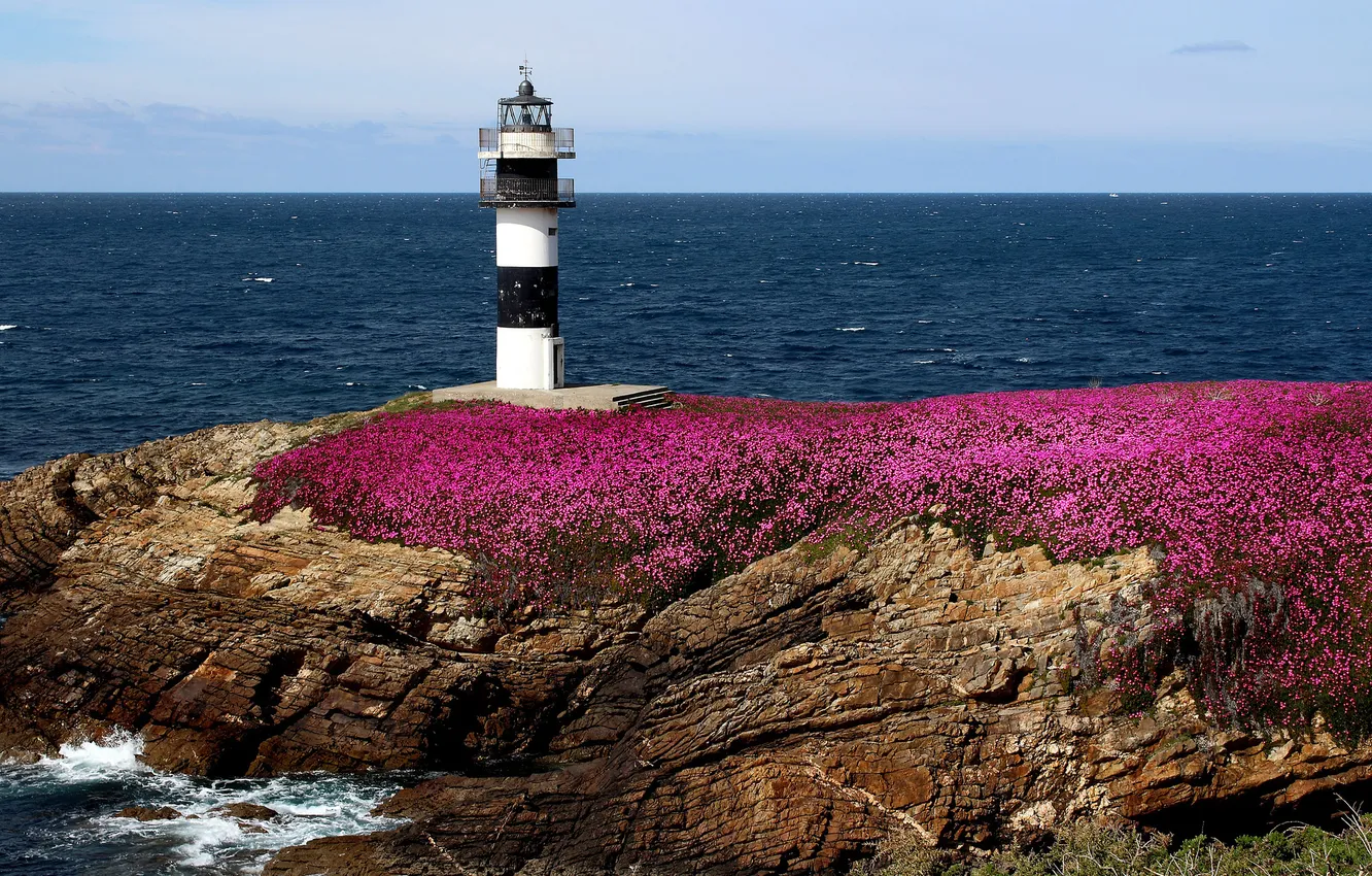 Фото обои море, цветы, скалы, побережье, маяк, Испания, Spain, Ribadeo