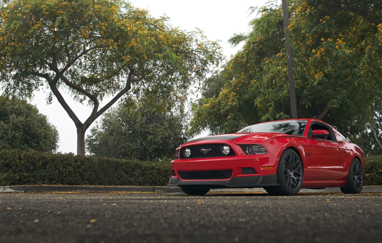 Фото обои Mustang, Ford, RTR, Parking, 2013
