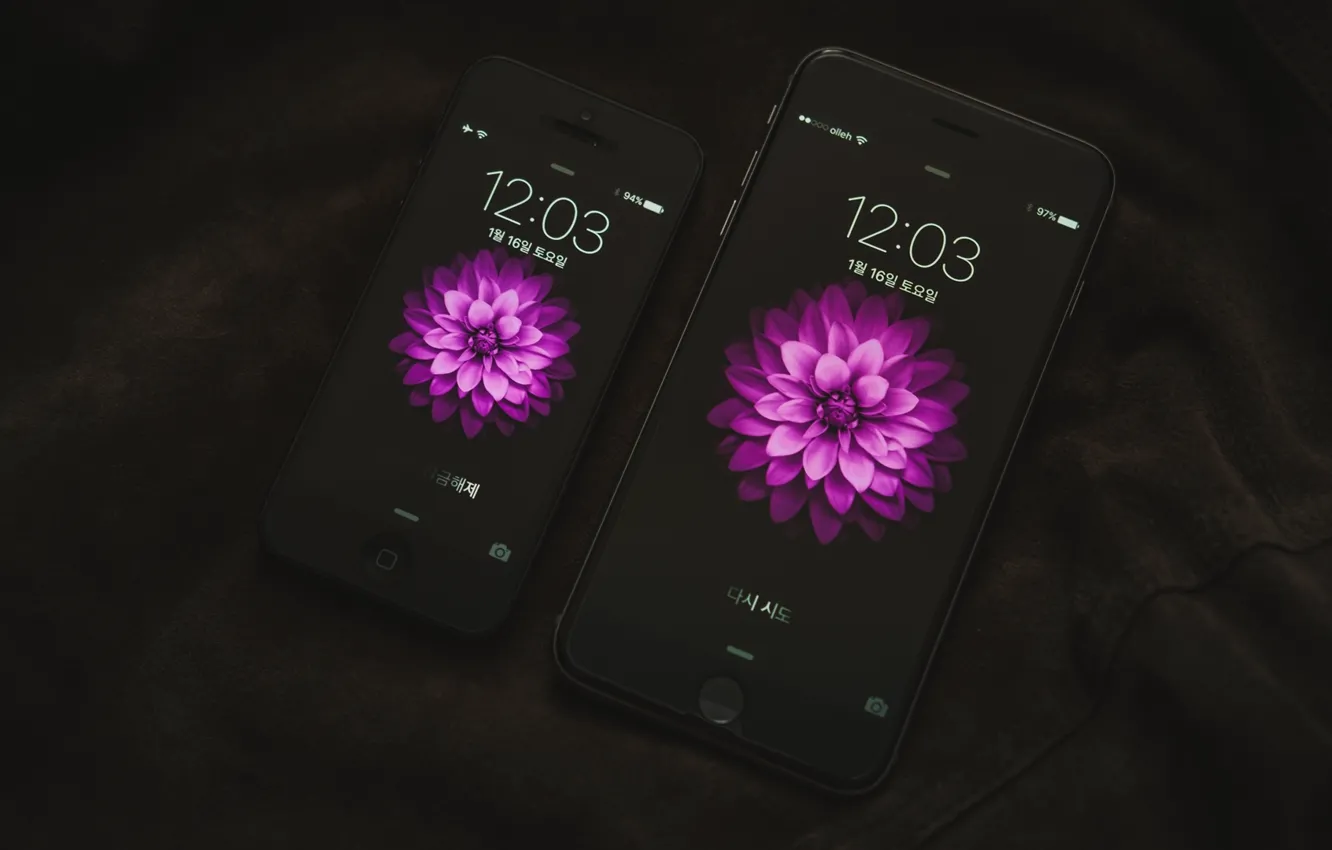 Фото обои flower, screen, touch, iPhone 6