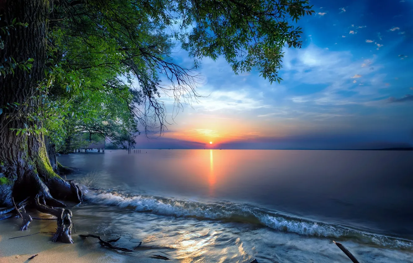 Фото обои пейзаж, закат, природа, озеро, дерево, Австрия, Боденское озеро