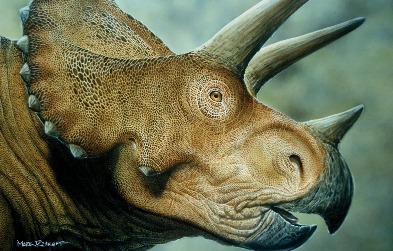 Фото обои динозавр, Triceratops, мродаха