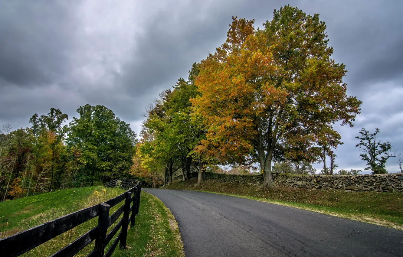 Фото обои дорога, осень, деревья, забор