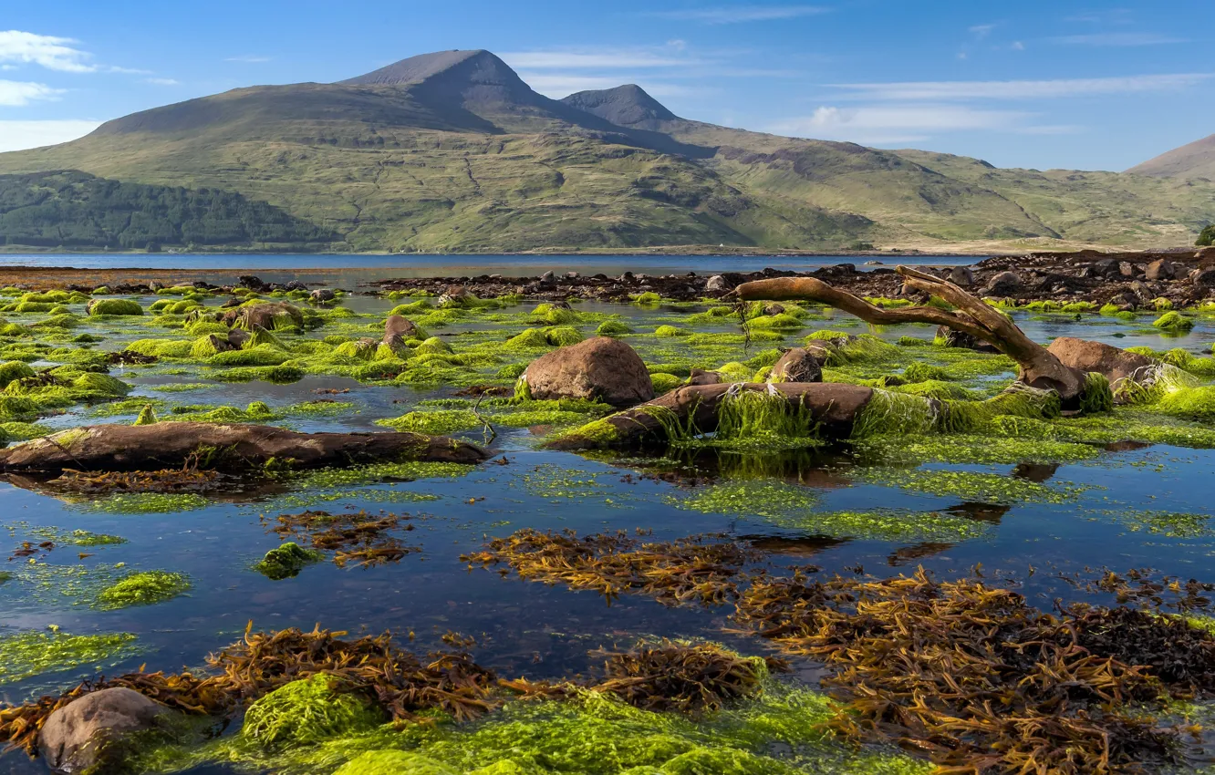 Фото обои Scotland, Isle of Mull coastline, Killunaig