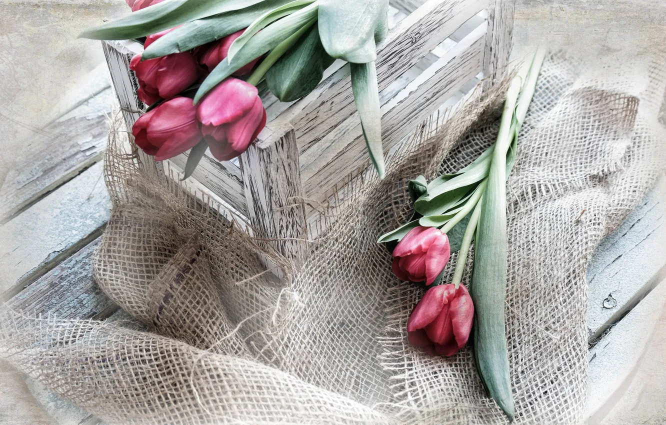 Фото обои цветы, тюльпаны, мешок, Ящик
