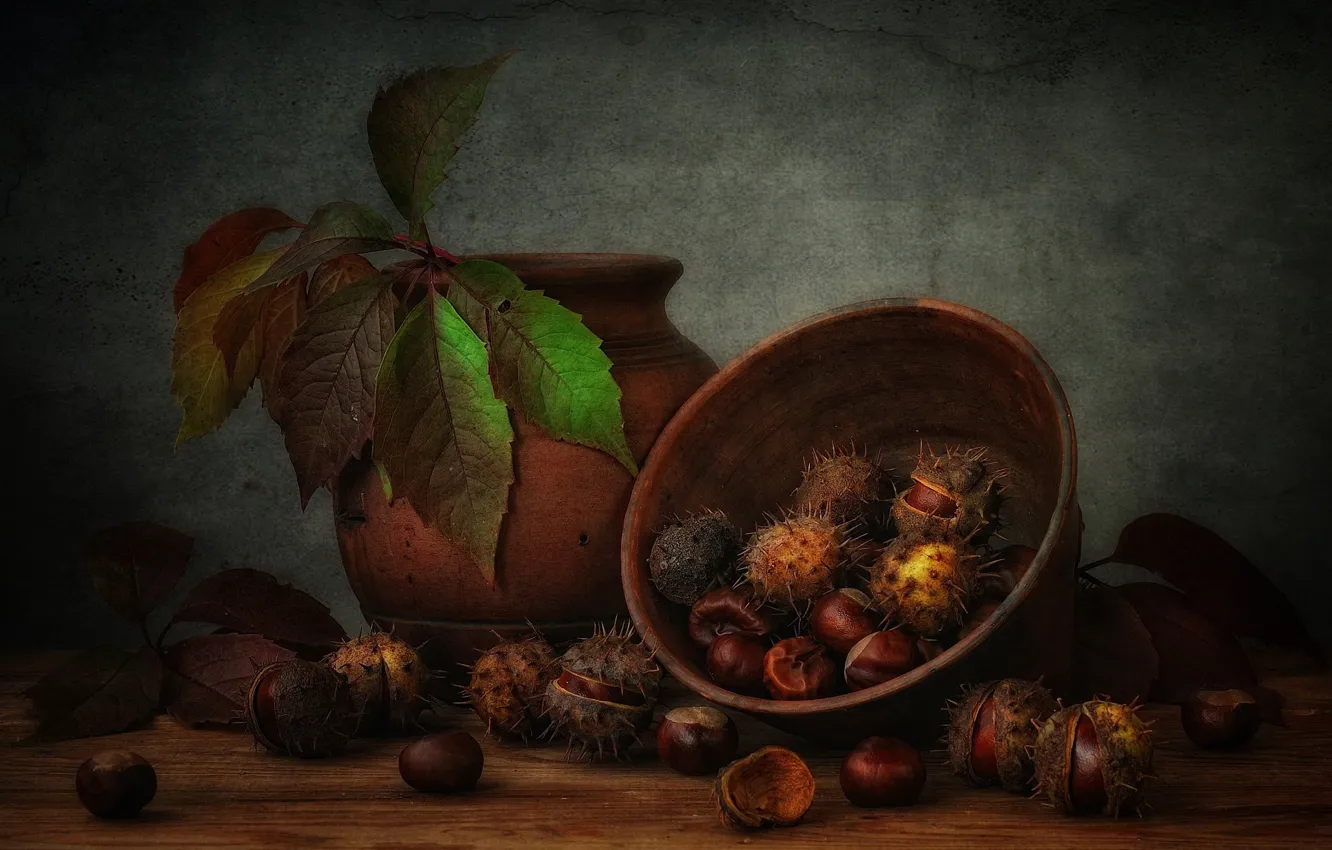 Фото обои листья, плоды, миска, still life, каштаны, крынка