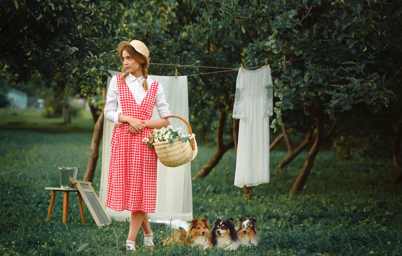Фото обои собаки, девушка, корзина, вещи, шляпа, платье, Ксения Кокорева, Анастасия Добровольская