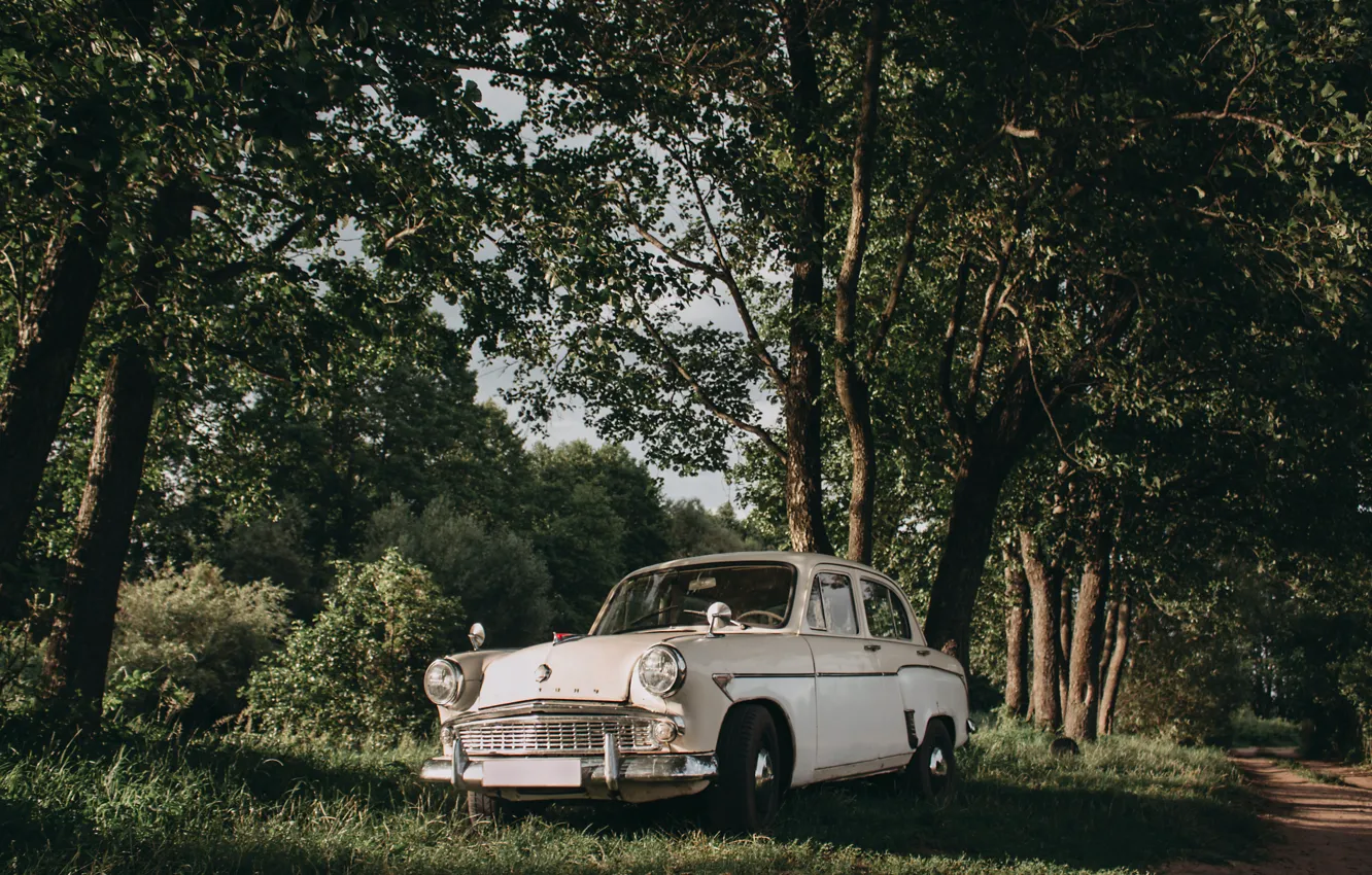 Фото обои Car, Nature, Trees, Old Car, Oldtimer, Artur Stanulevich