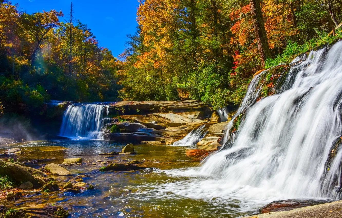 Фото обои осень, лес, деревья, камни, речка, водопады, солнечно
