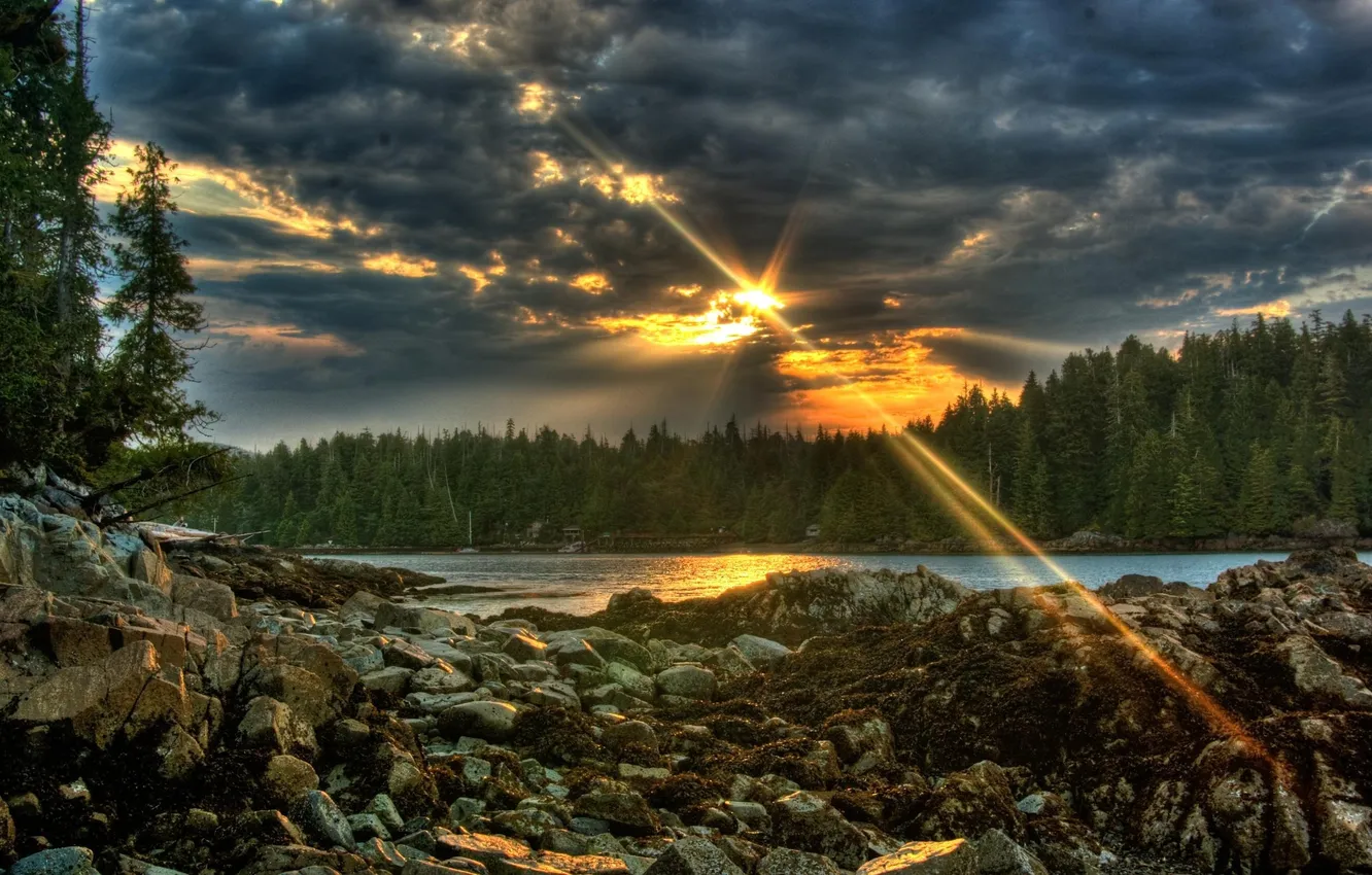 Фото обои лес, небо, закат, река, камни, sunset