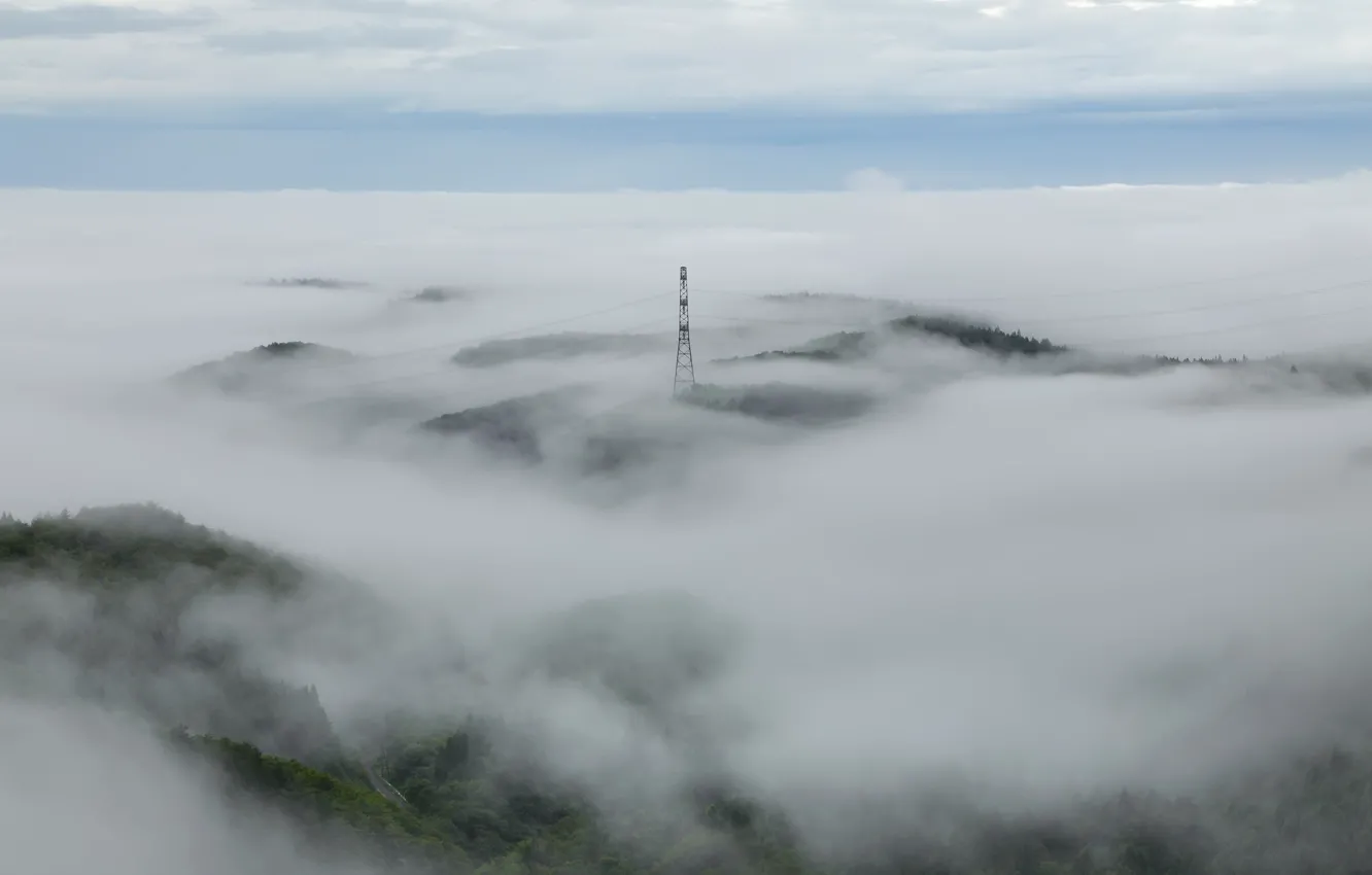 Фото обои туман, горизонт, лэп, плоская земля