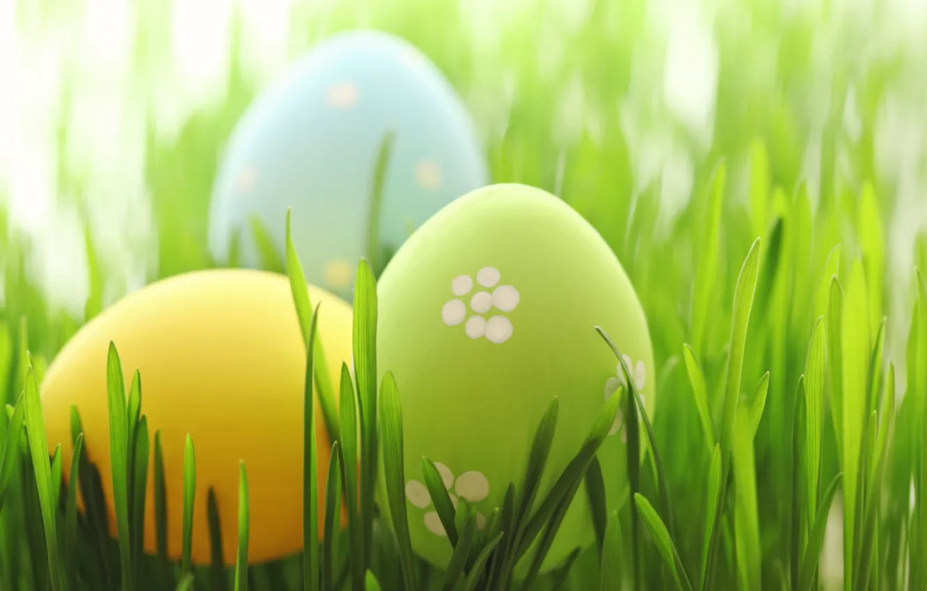 Фото обои трава, Пасха, spring, Easter, eggs, Happy, pastel, яйца крашеные