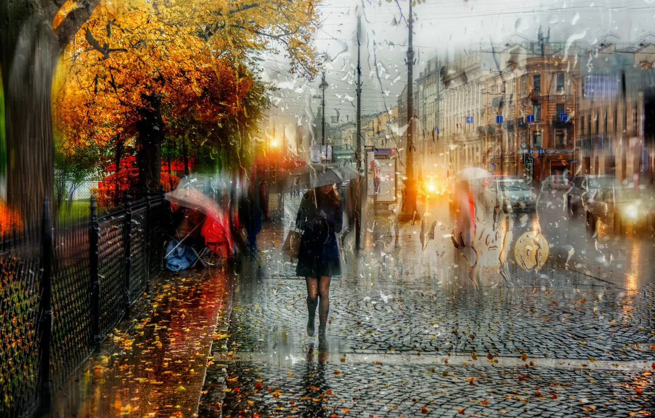 Фото обои девушка, капли, зонт, Санкт-Петербург, Осенний дождь