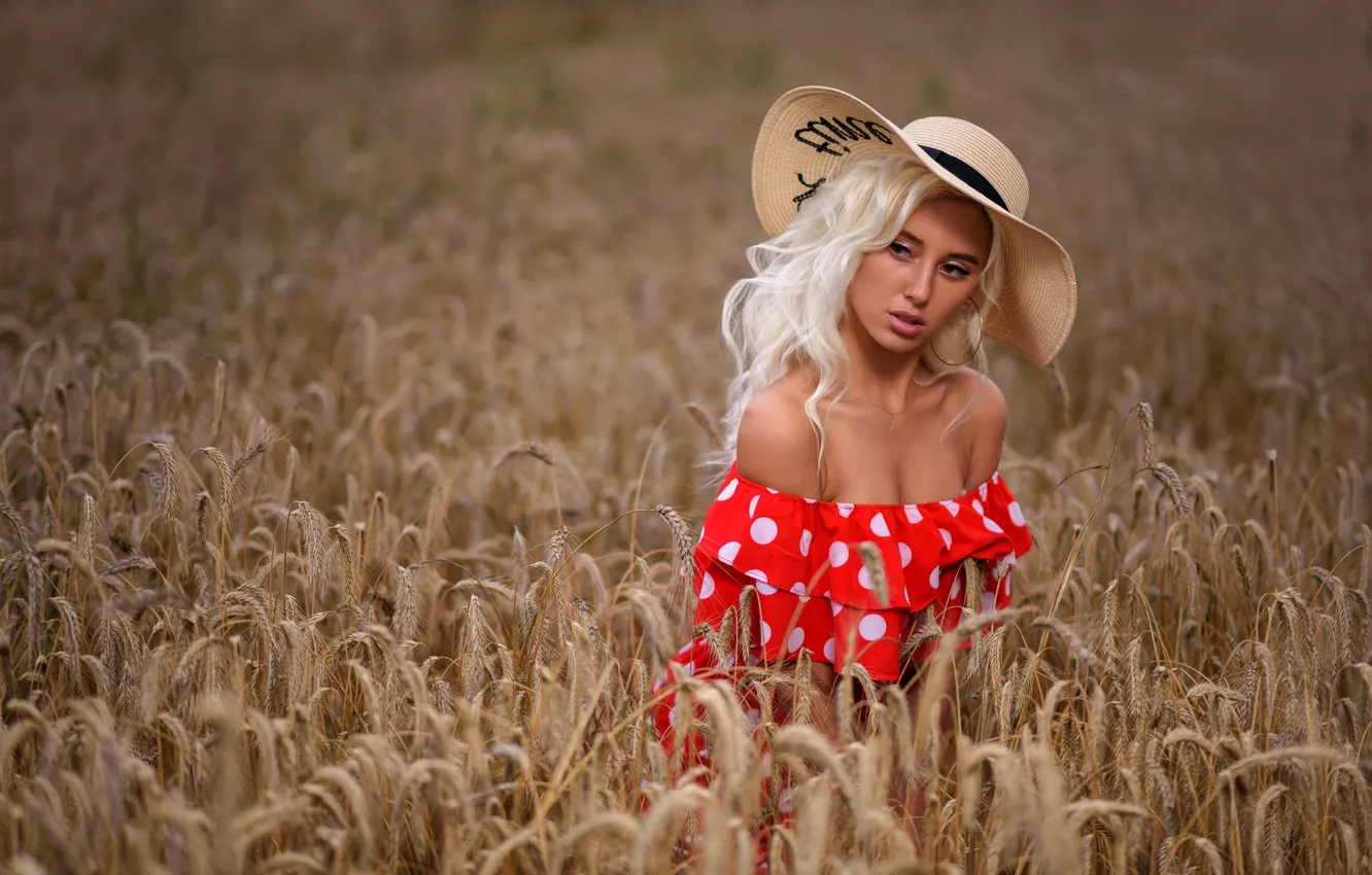 Фото обои поле, секси, шляпа, колоски, блондинка, Margo, Dmitry Medved