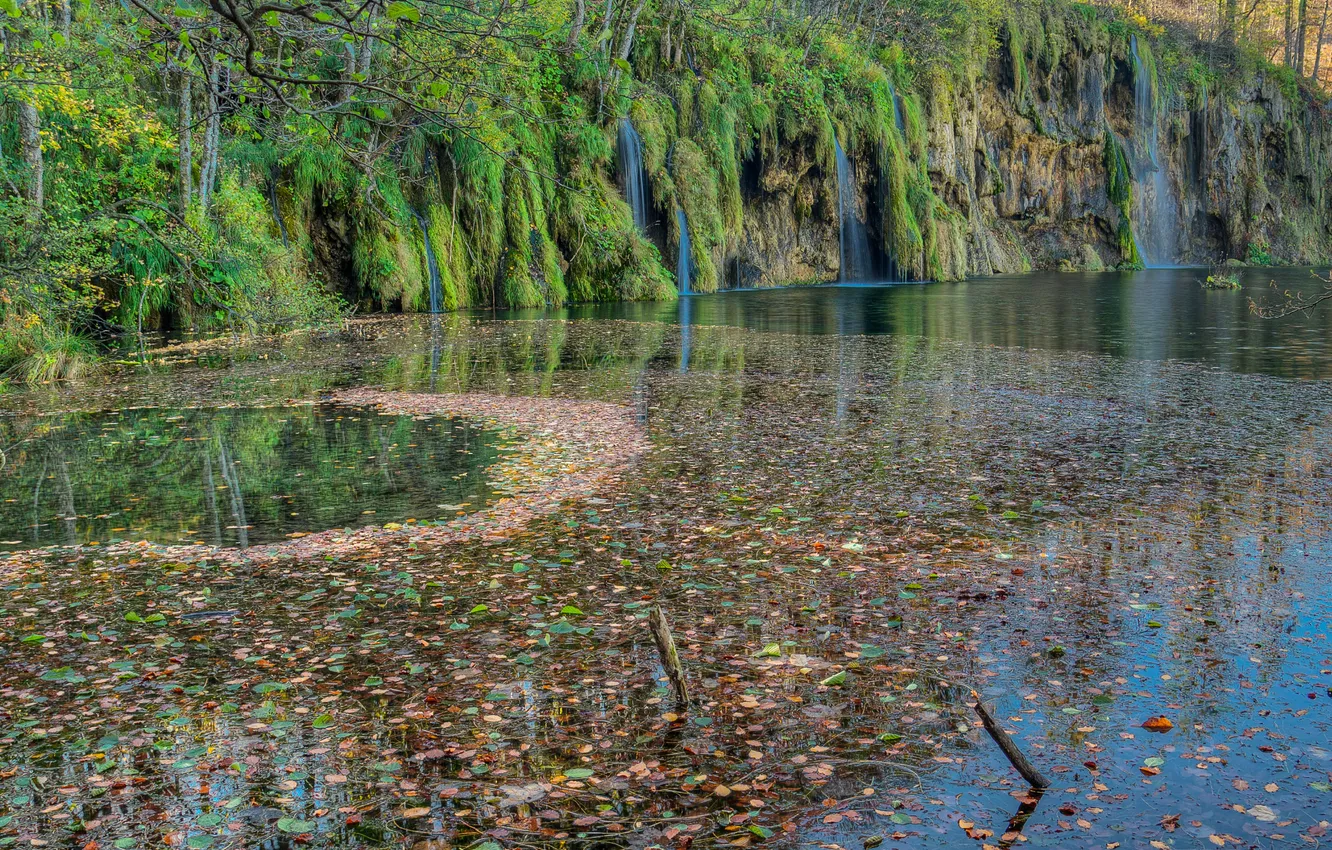 Фото обои листья, озеро, мох, водопады, Хорватия, Plitvice Lakes