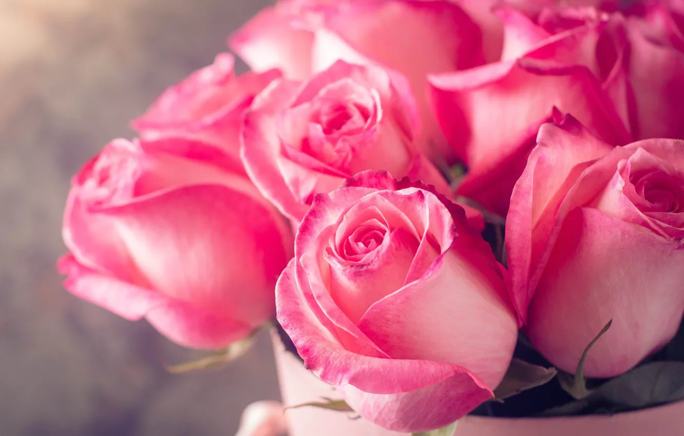 Фото обои розы, букет, розовые, rose, flower, pink, bouguet