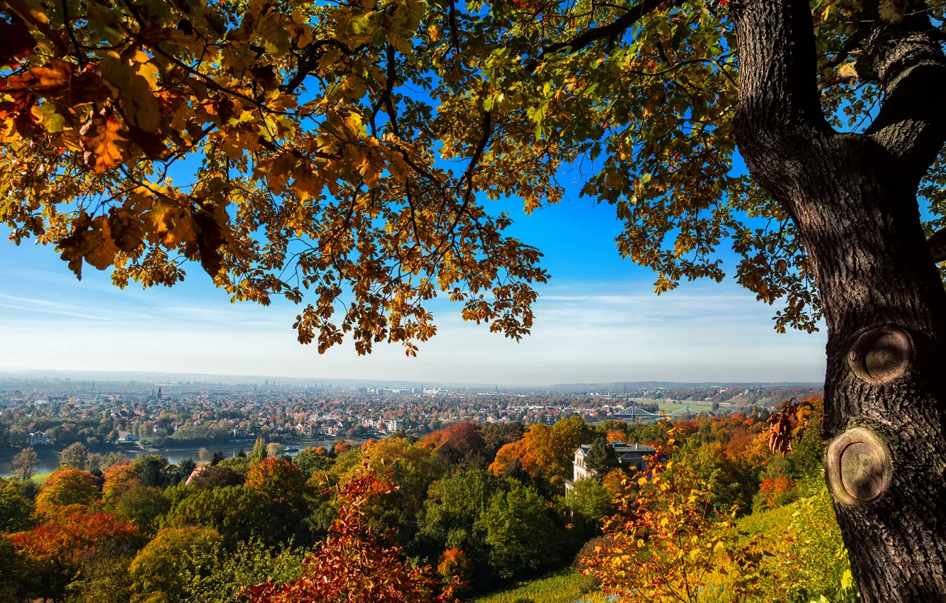Фото обои осень, деревья, мост, город, дерево, вид, дома, Германия