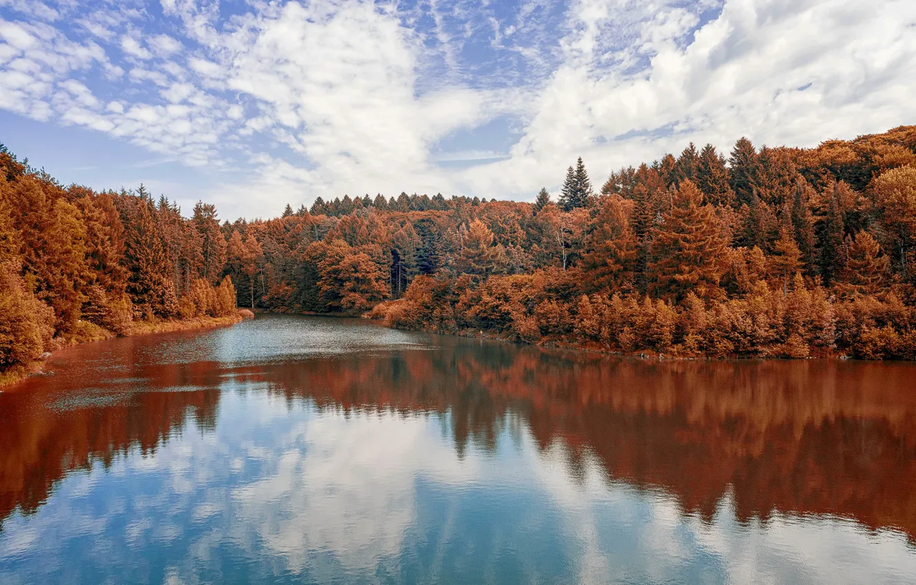 Фото обои осень, лес, пейзаж, природа, река