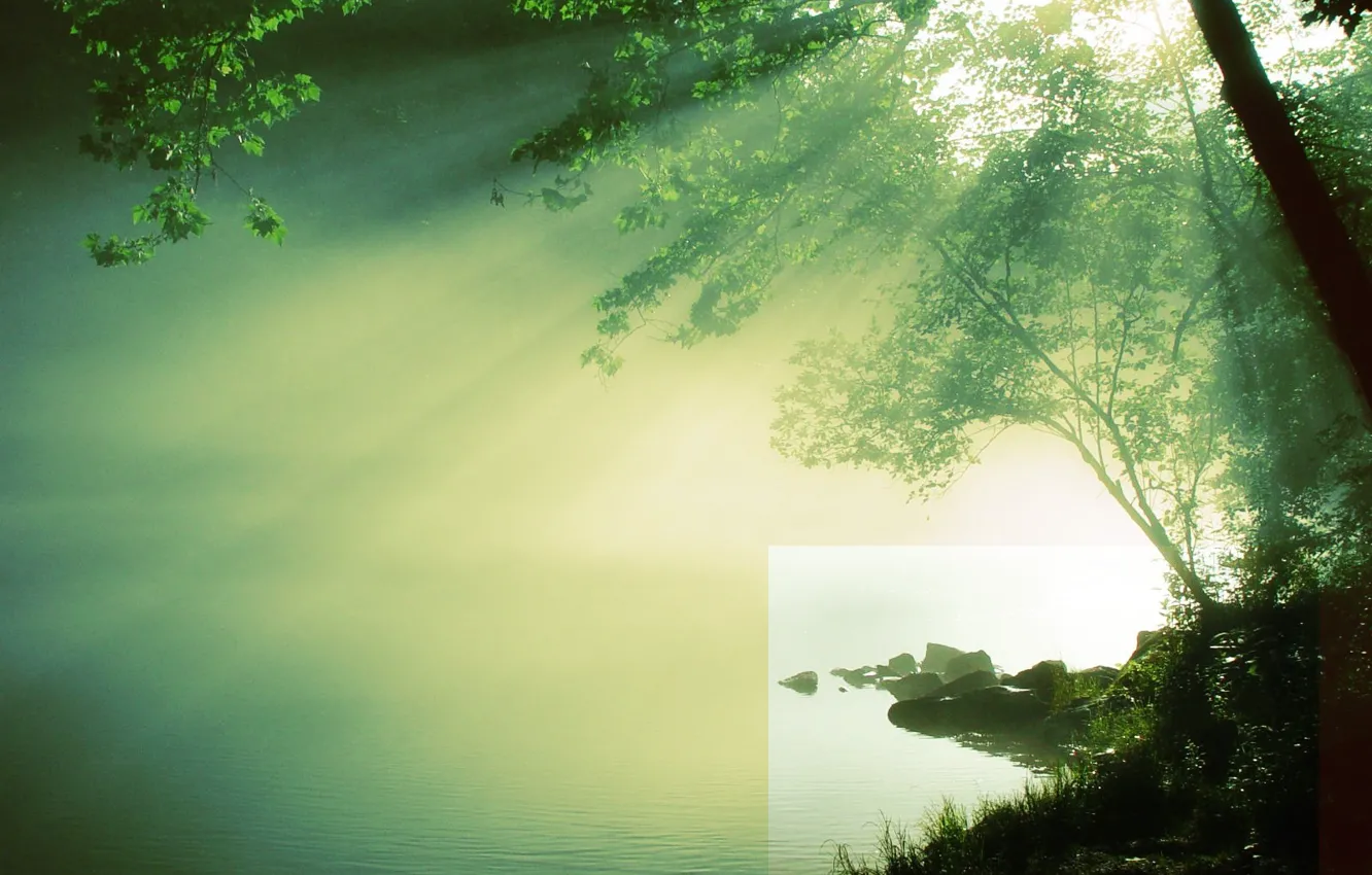 Фото обои вода, солнце, река, дерево