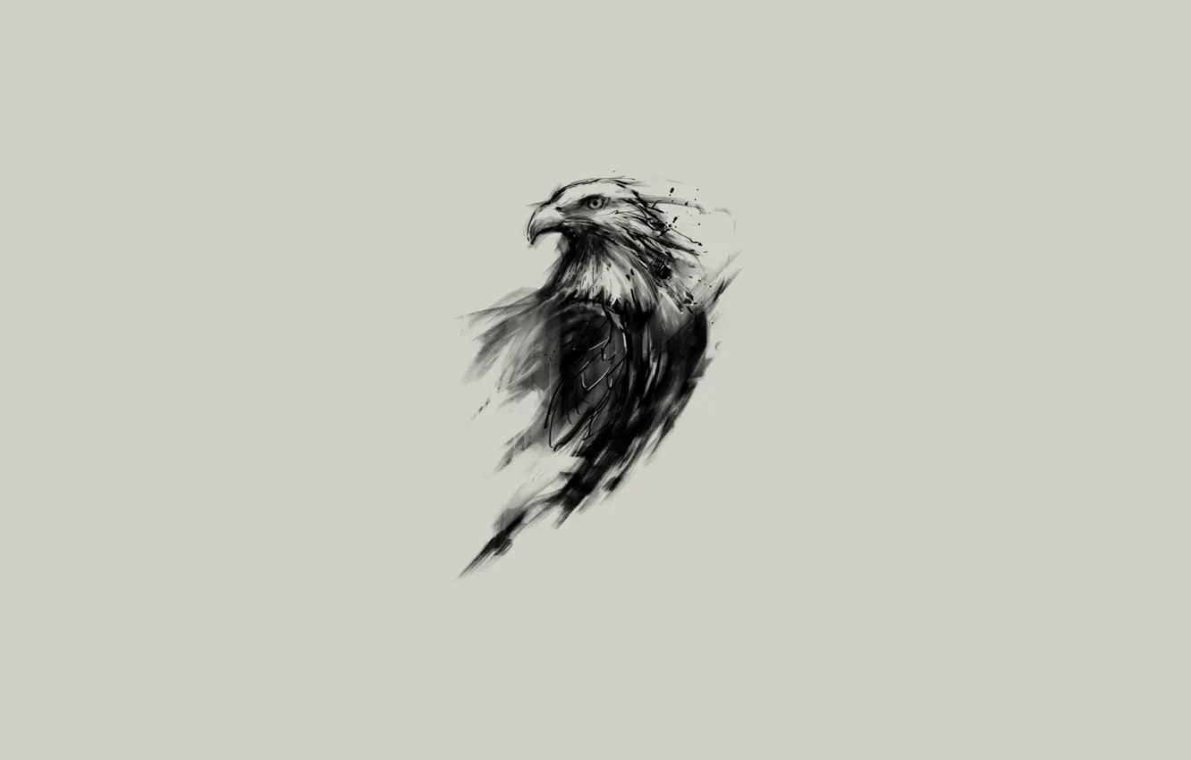 Фото обои взгляд, орел, рисунок, крылья, минимализм, перья, клюв, арт