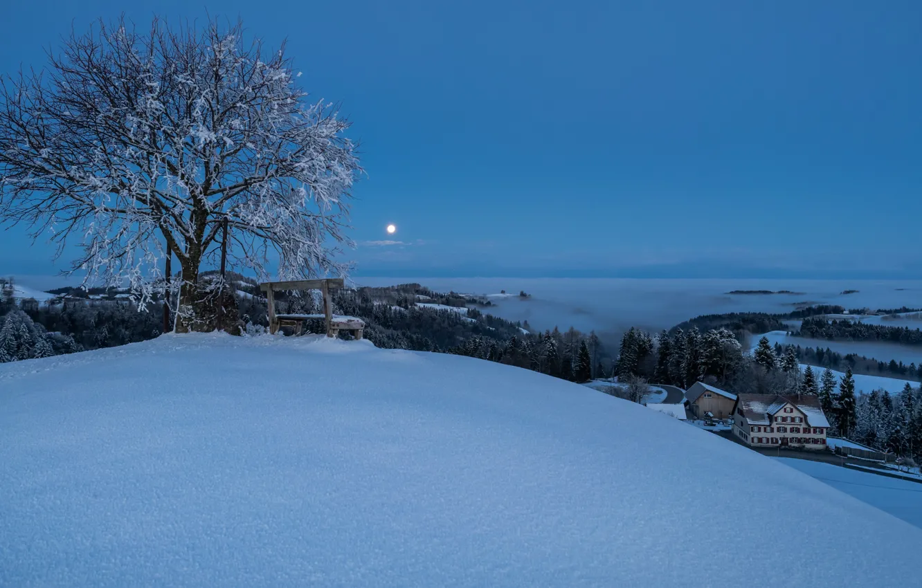 Фото обои зима, горы, ночь, природа, туман, скамья