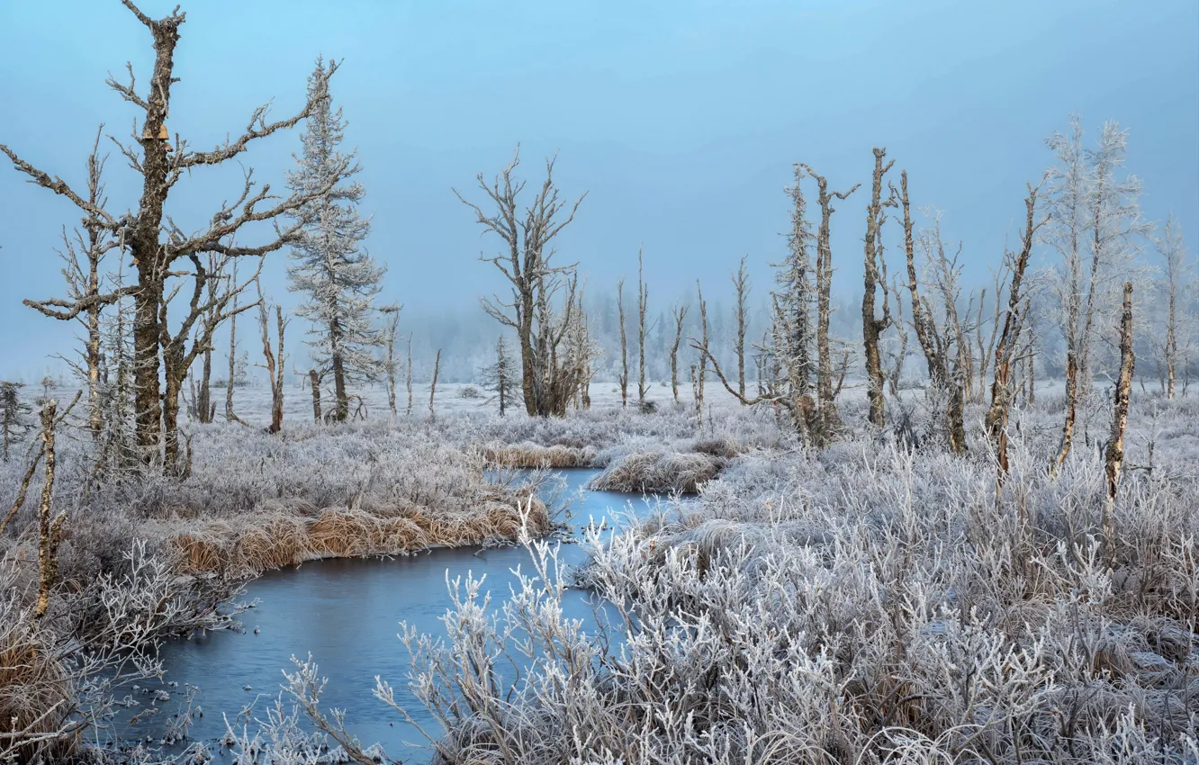 Фото обои зима, иней, деревья, река
