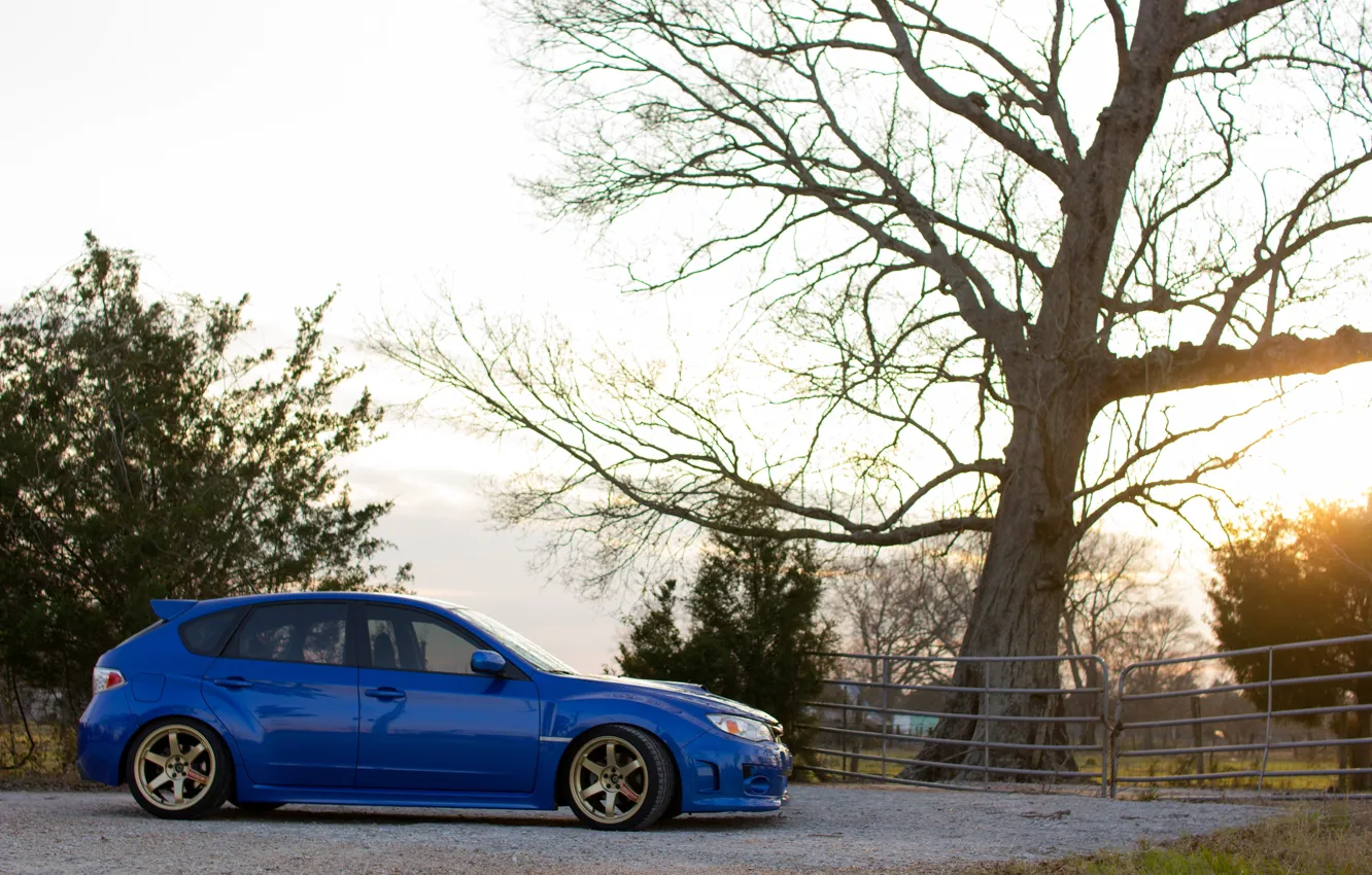 Фото обои Subaru, Impreza