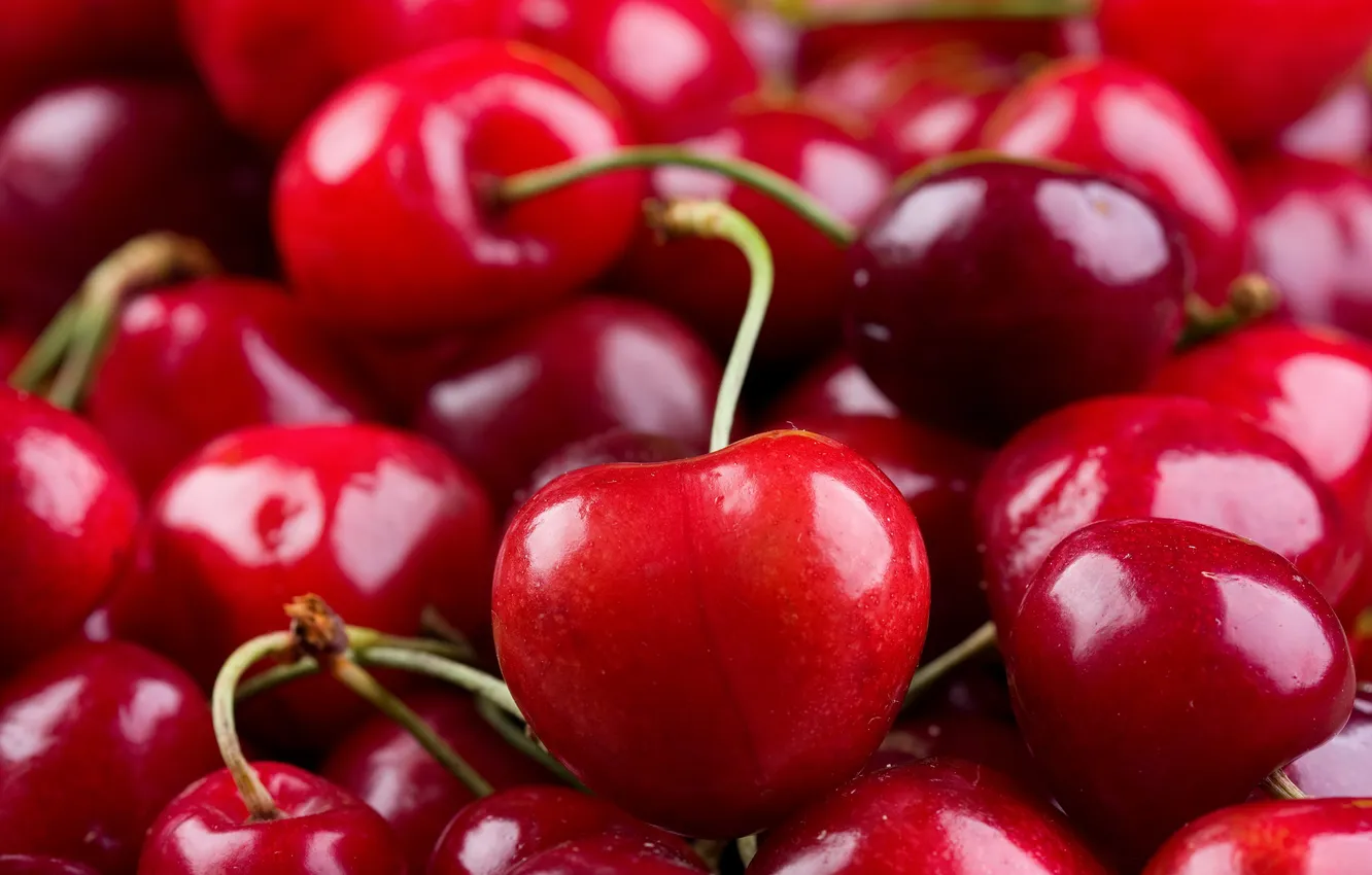 Фото обои вишня, ягоды, fresh, черешня, sweet, cherry, berries