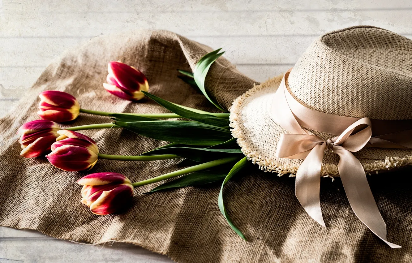 Фото обои цветы, шляпа, лента, тюльпаны
