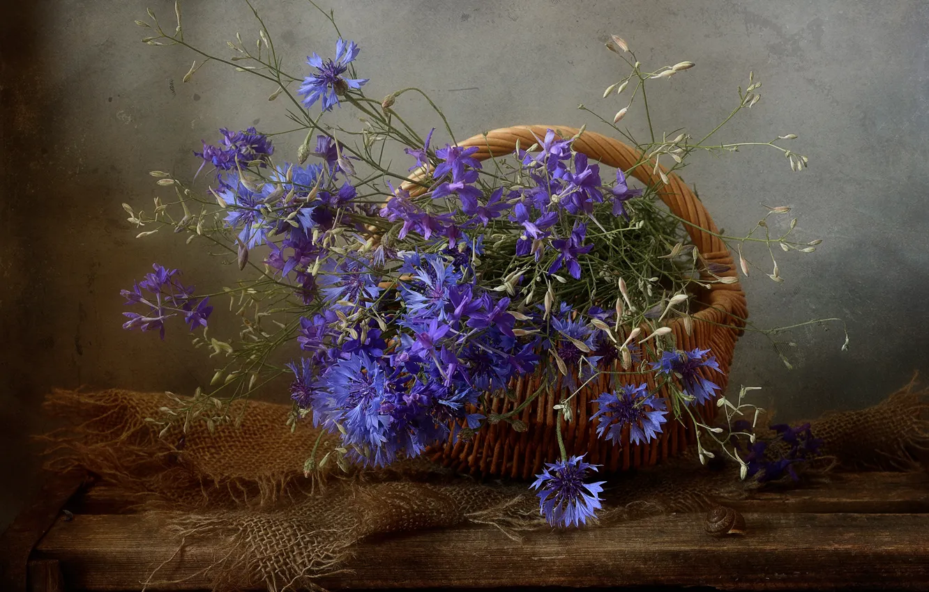Фото обои цветы, темный фон, букет, голубые, натюрморт, корзинка, синие, мешковина