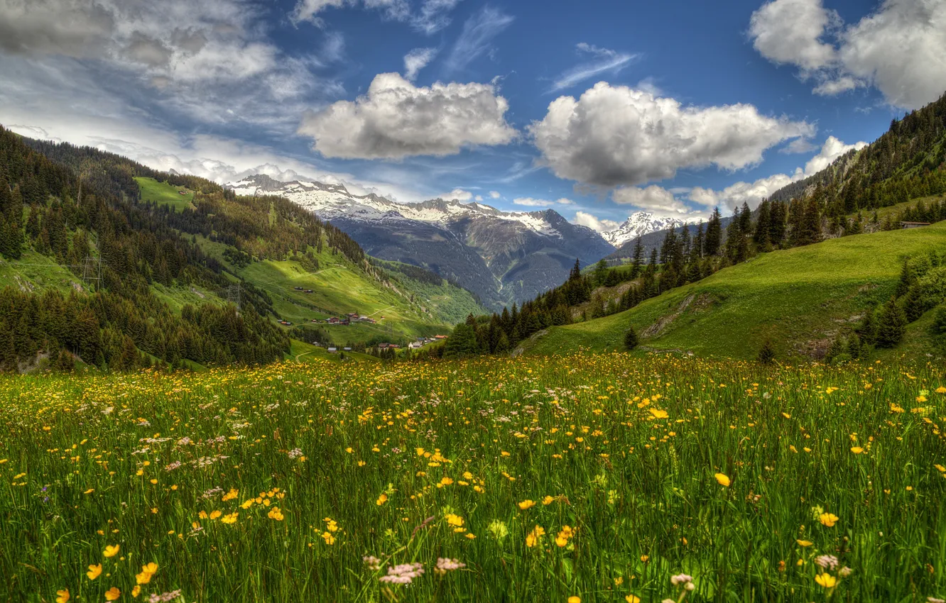 Фото обои цветы, горы, весна, Швейцария, долина, Альпы, луг, Switzerland
